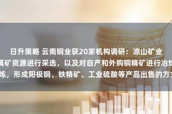 日升策略 云南铜业获20家机构调研：凉山矿业主要通过对自有铜等金属矿资源进行采选，以及对自产和外购铜精矿进行冶炼，形成阳极铜、铁精矿、工业硫酸等产品出售的方式实现盈利（附调研问答）
